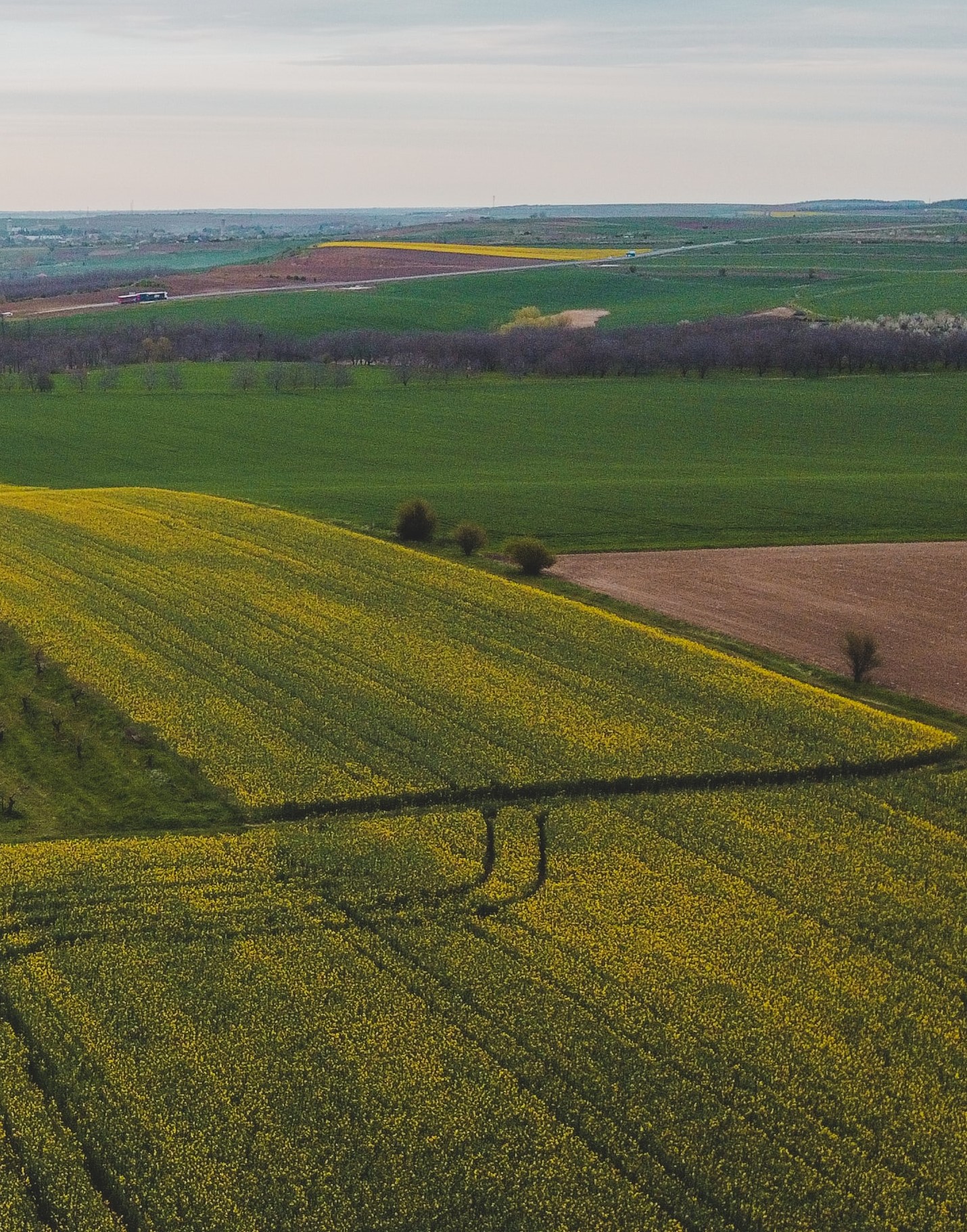 Shifting Policies, Shifting Crops: MSU Research to Investigate Agricultural Innovation in Post-Socialist Romania Under New NASA Grant