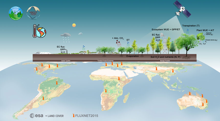 Data knowledge predictions about global water use efficiency in a changing climate. (Image courtesy of Jiquan Chen/Landscape Ecology & Ecosystem Science Lab)